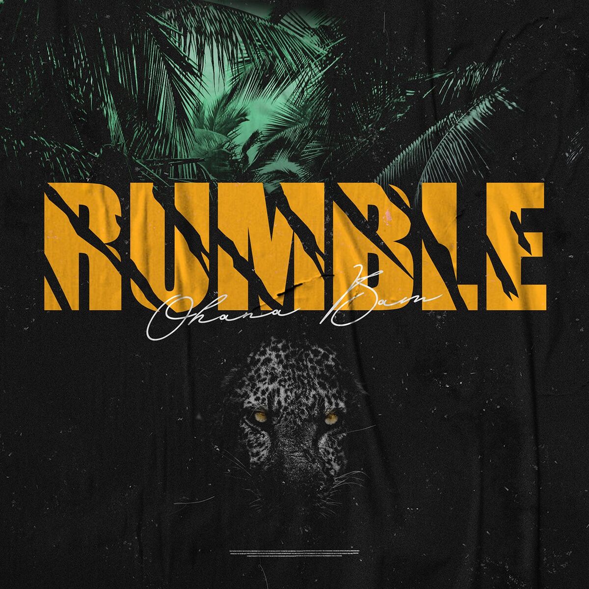Album cover of Rumble