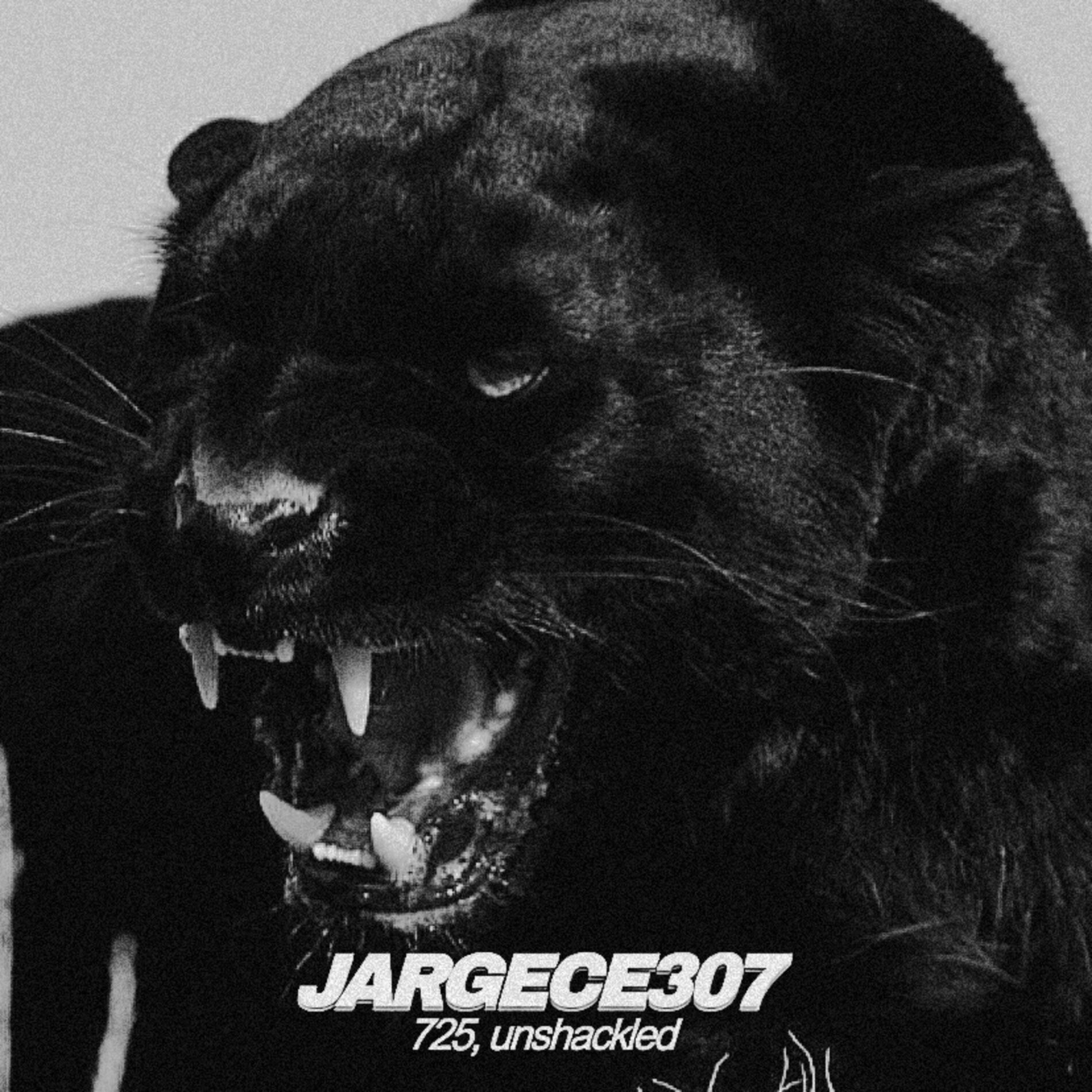 Album cover of JARGECE307