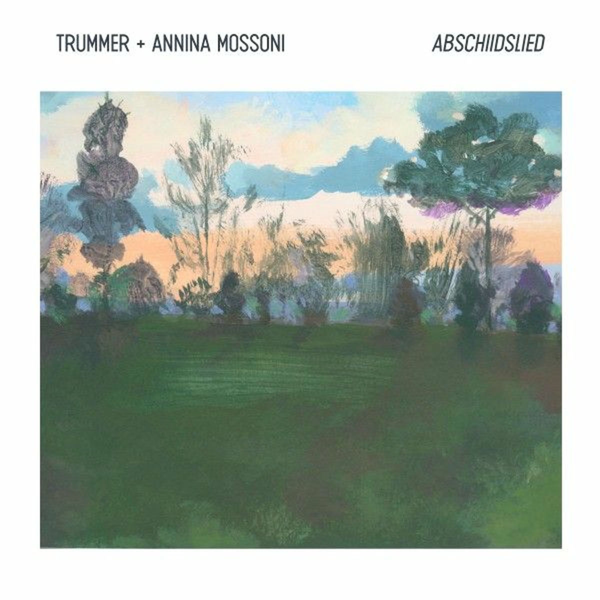 Album cover of Abschiidslied