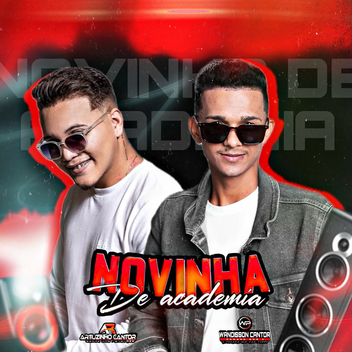 Album cover of Novinha de Academia