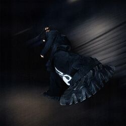 Cover of KODAK