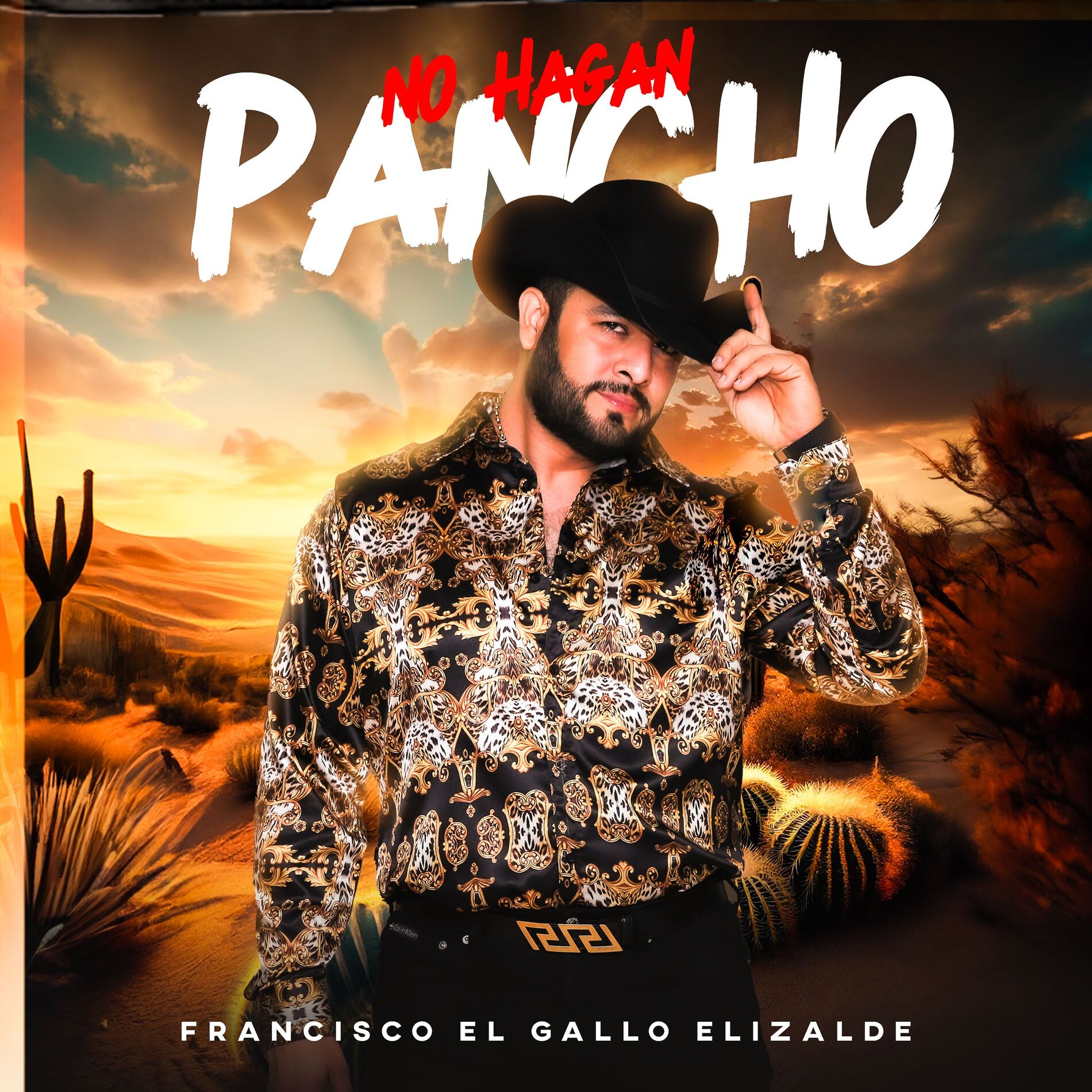 Album cover of No Hagan Pancho