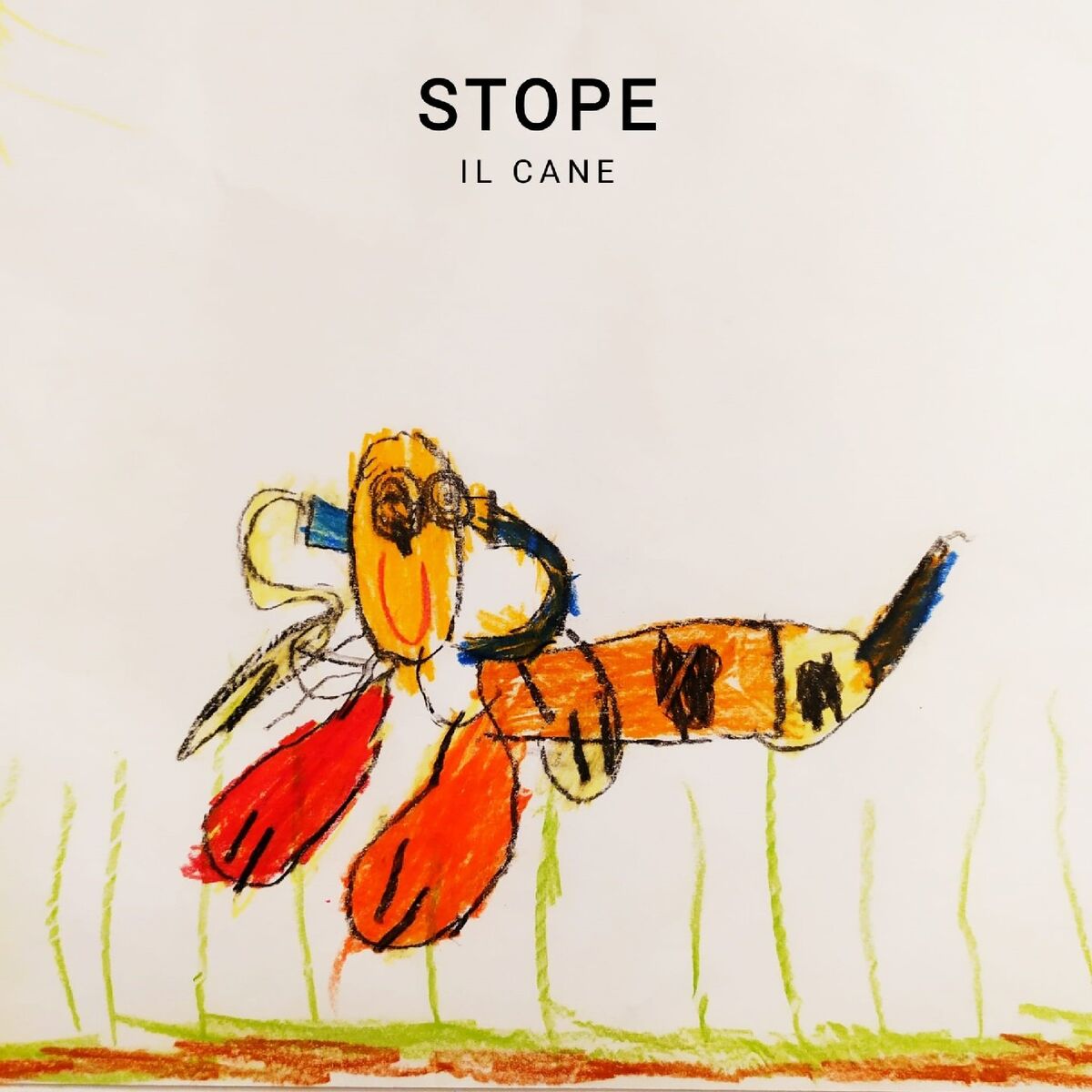 Album cover of Il Cane