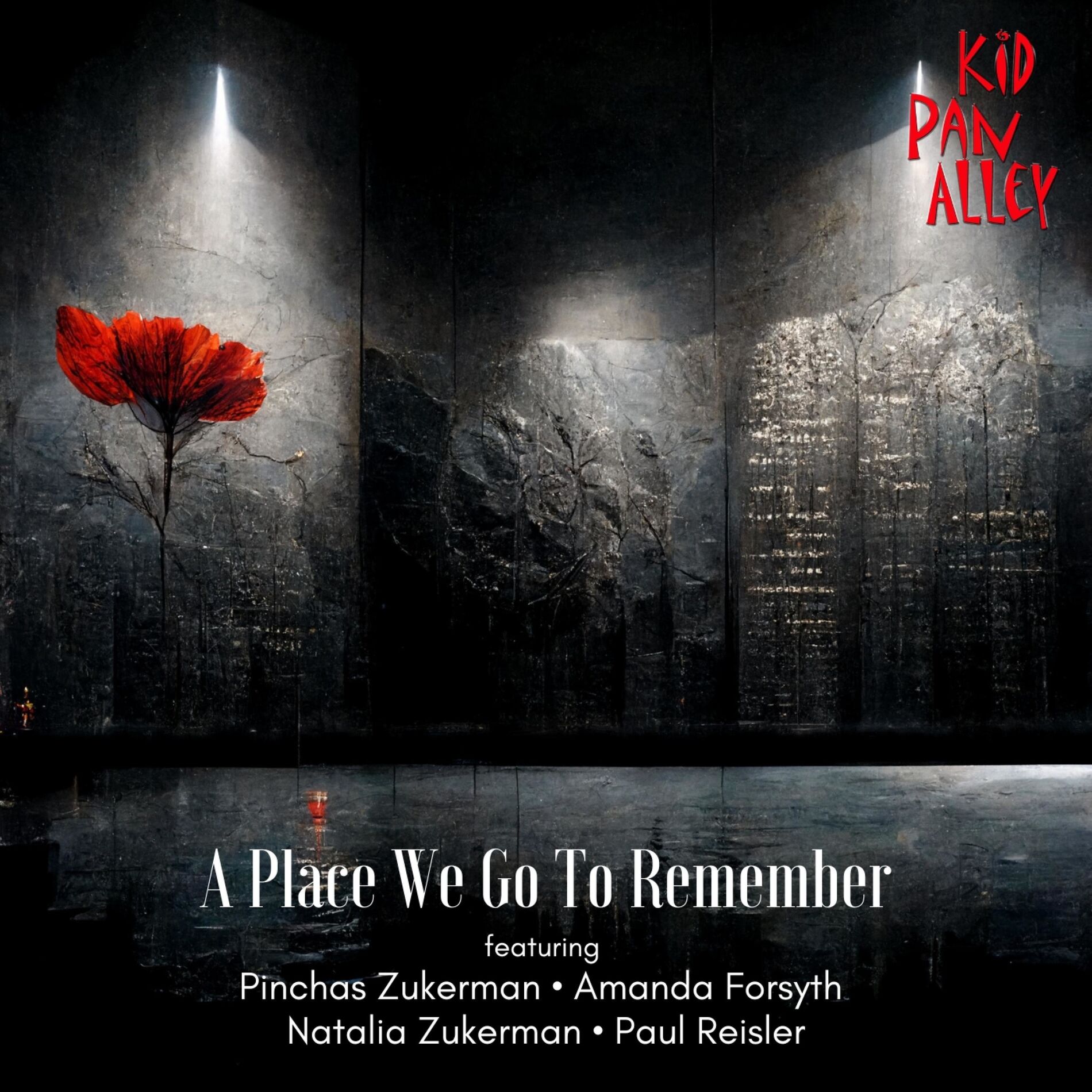 Album cover of A Place We Go To Remember (feat. Pinchas Zukerman, Amanda Forsyth, Natalia Zukerman & Paul Reisler)