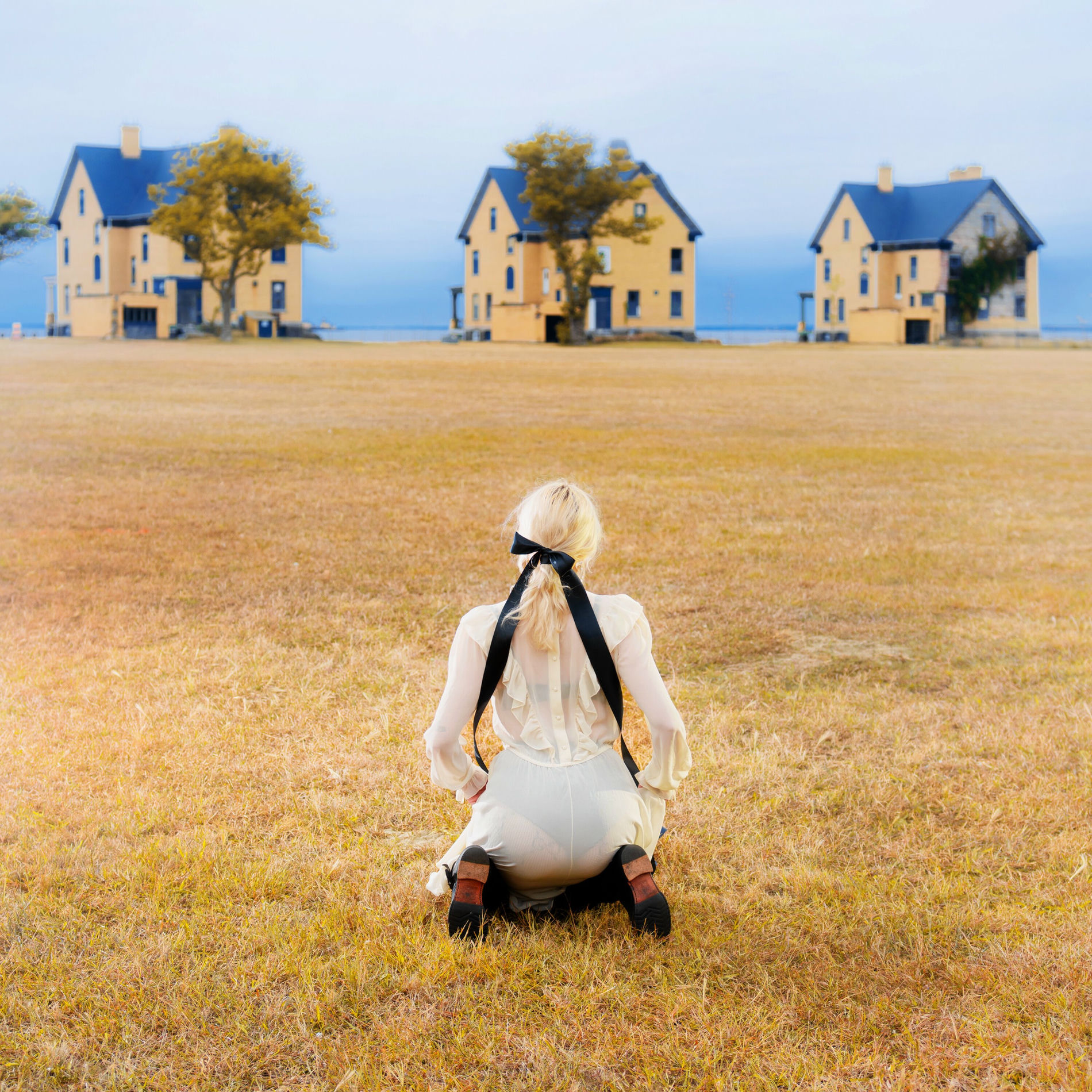 Album cover of Windows