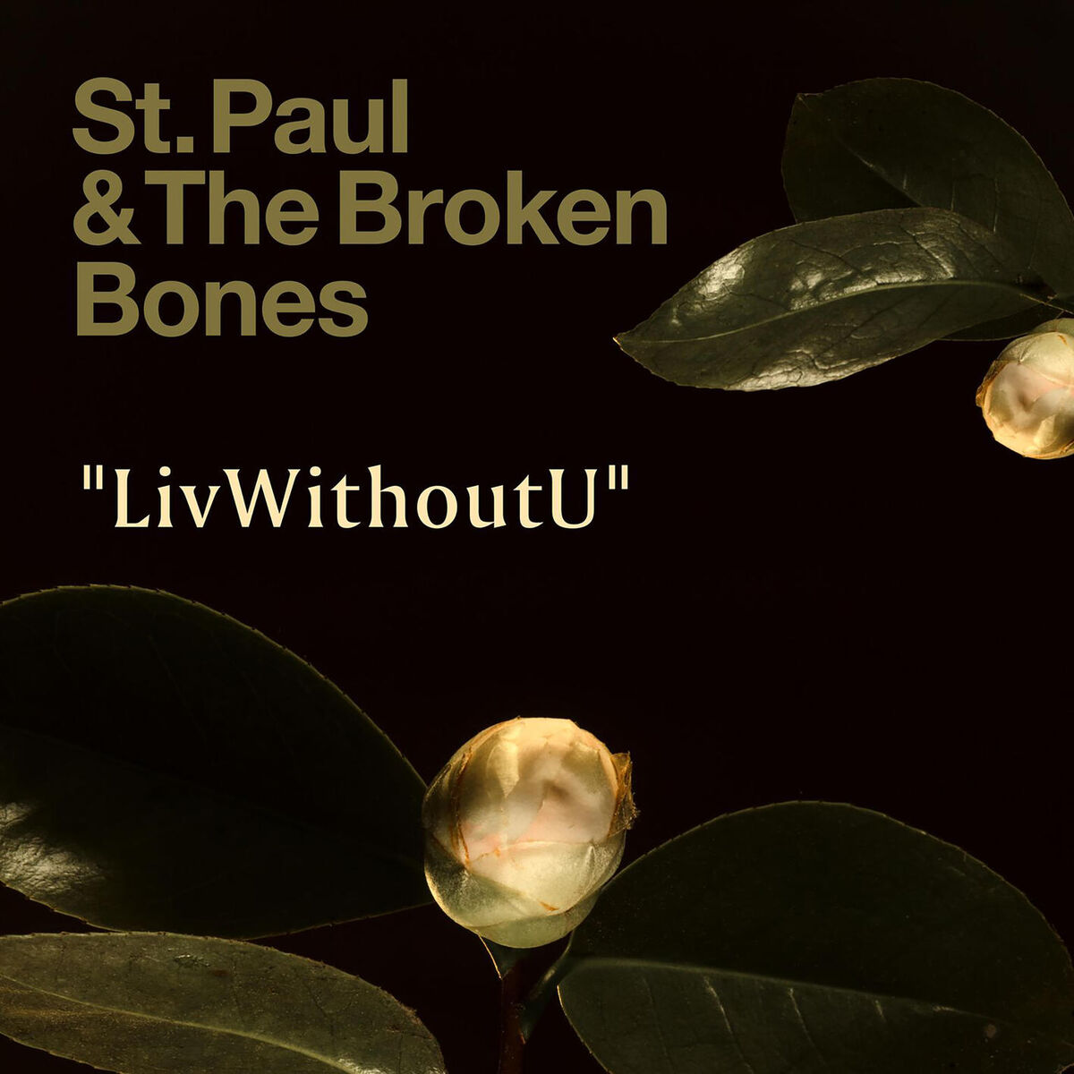 Album cover of LivWithoutU