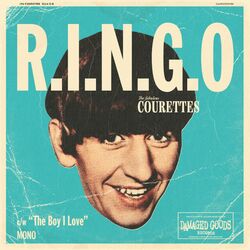 Cover of R.I.N.G.O.