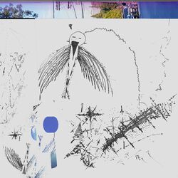 Cover of shed a feather