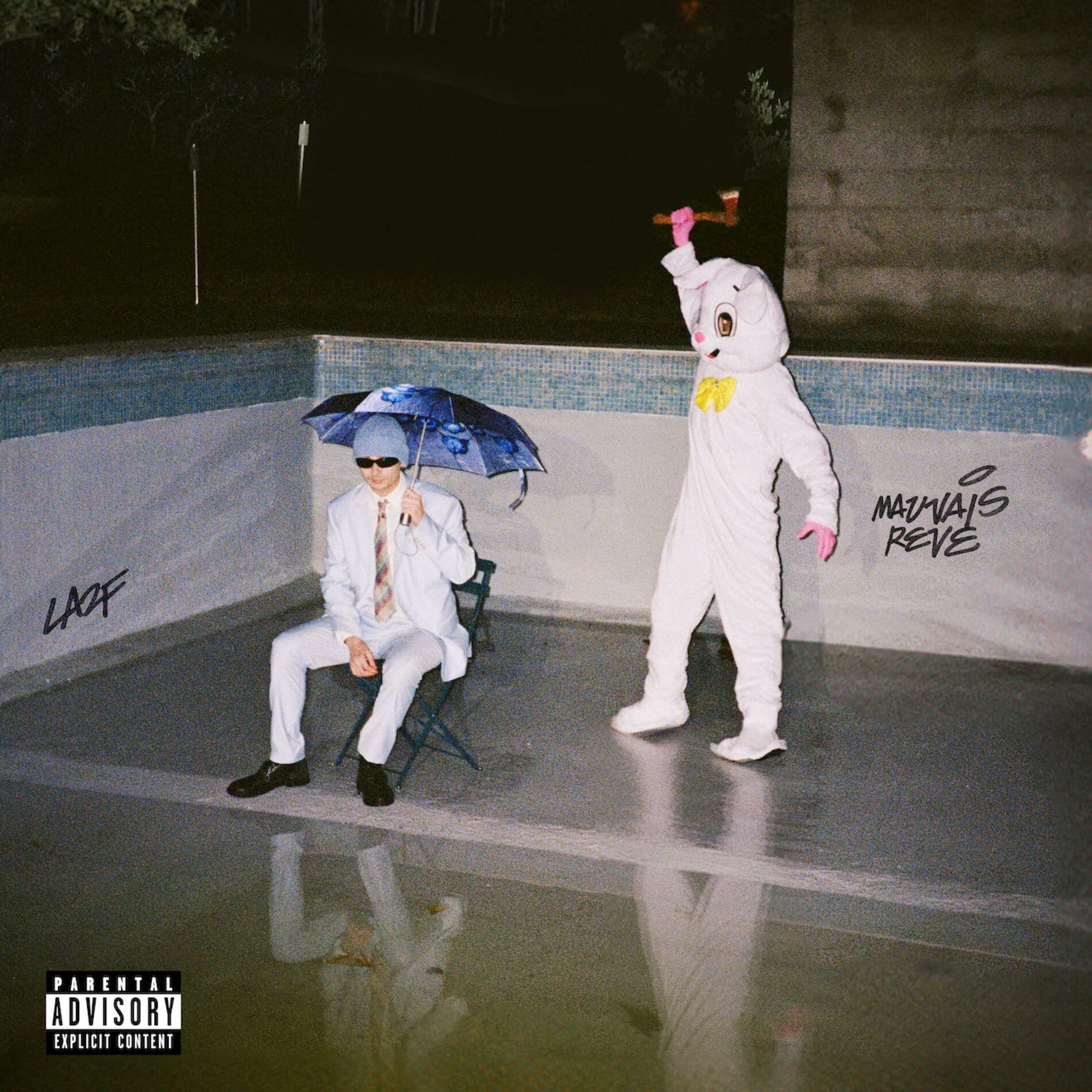Album cover of MAUVAIS RÊVE