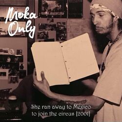 Cover of She ran away to Mexico to join the circus [2001]