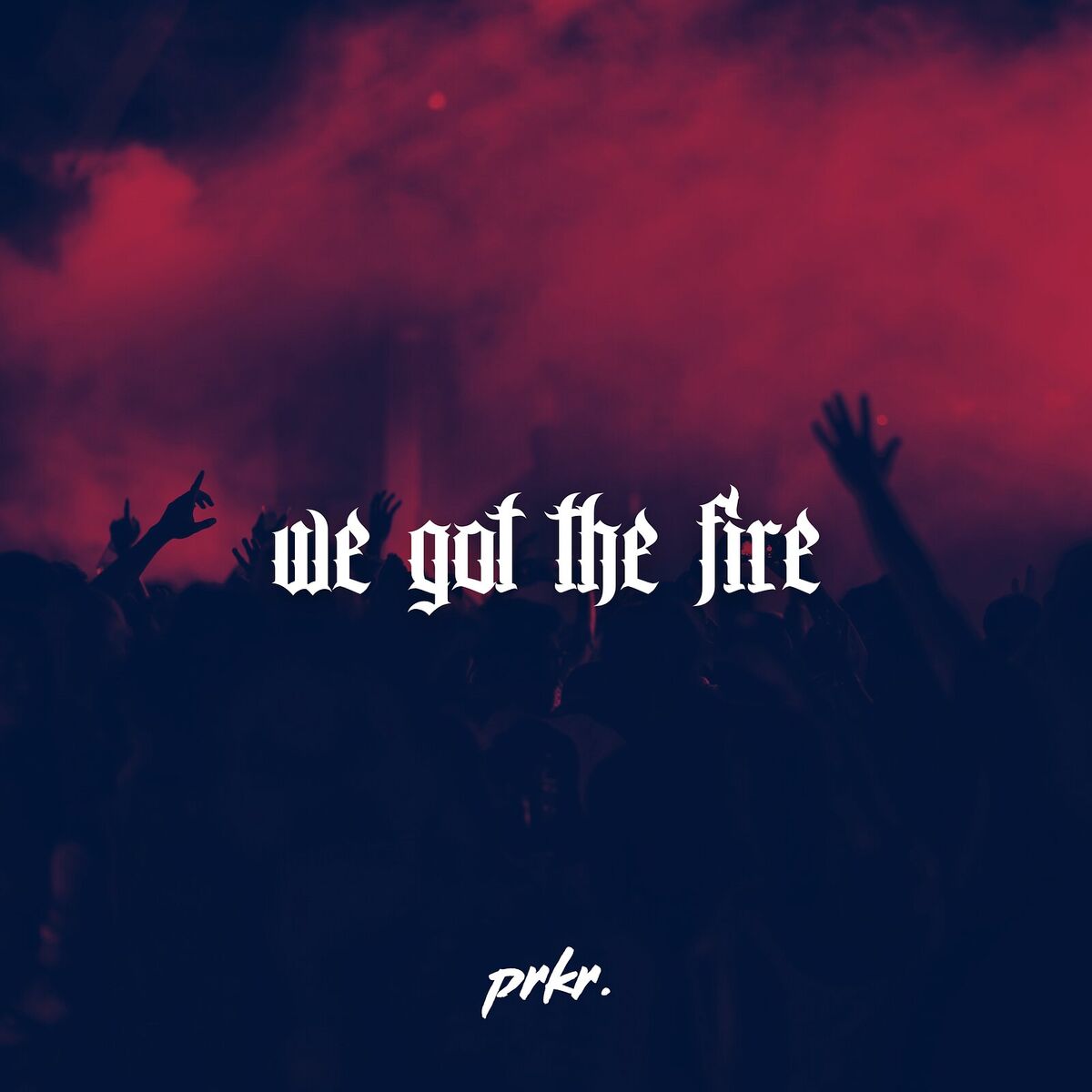 Album cover of We Got the Fire