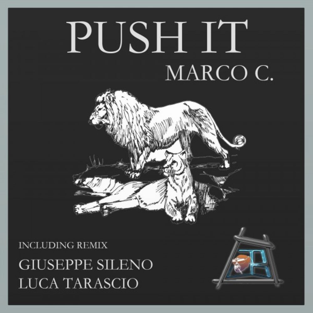 Picture of Push It