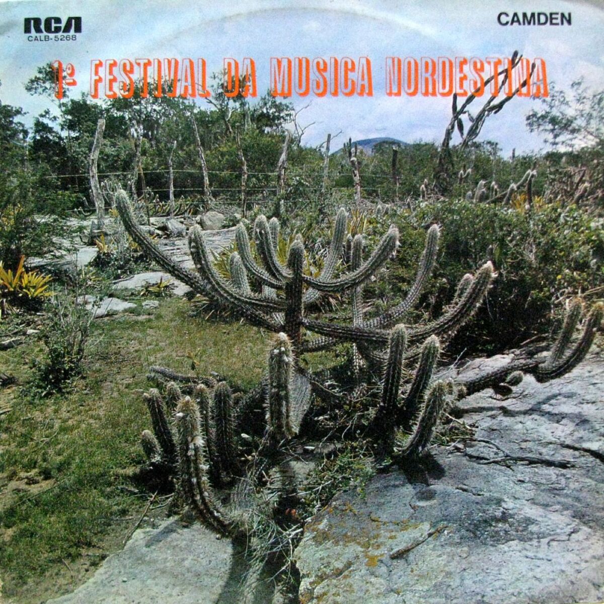 Album cover of 1º Festival da Música Nordestina