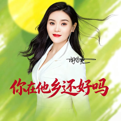 你在他乡还好吗 (DJ版)