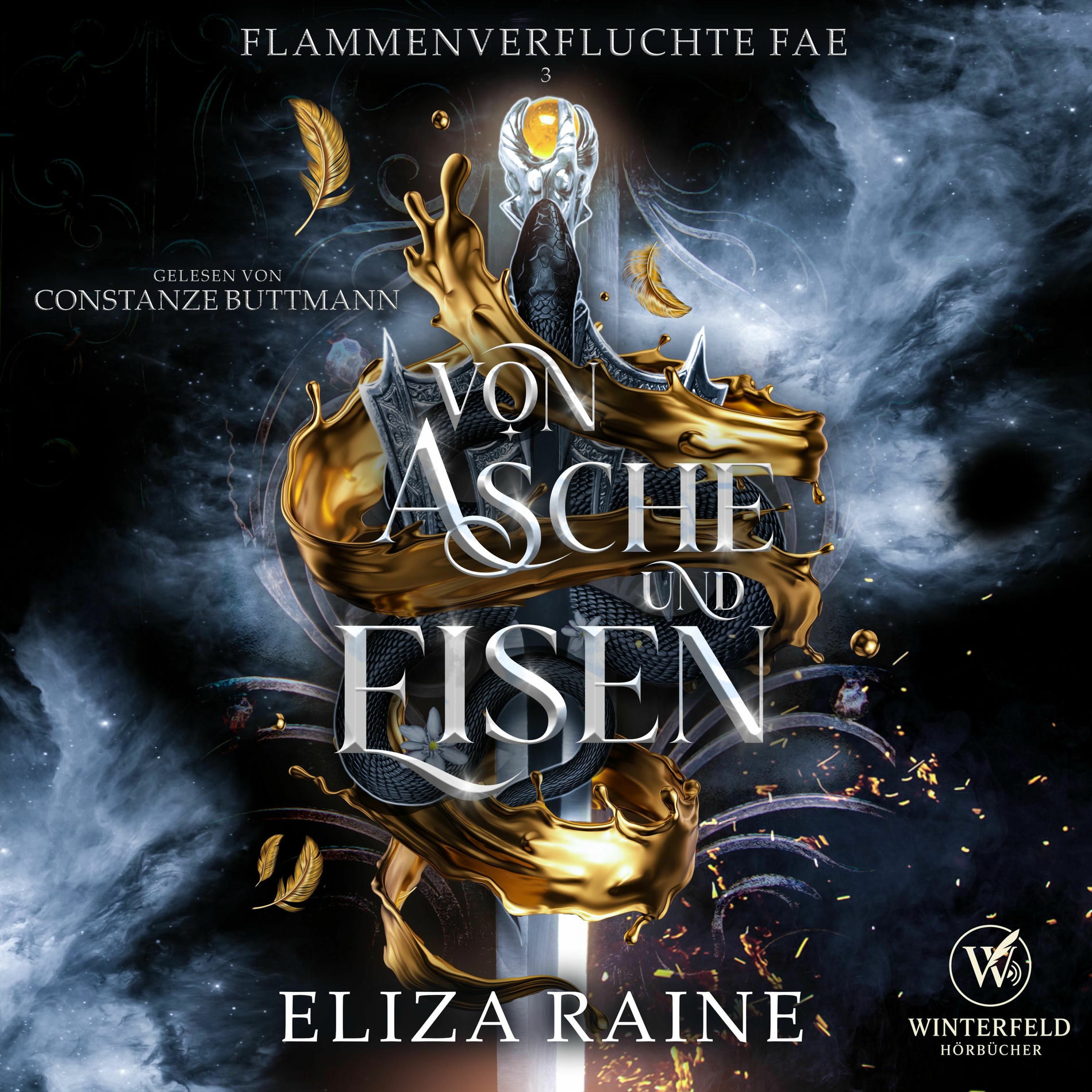 Album cover of Von Asche und Eisen - Walküren Academy