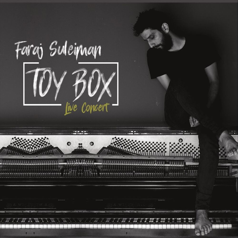 Picture of Toy Box