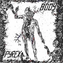 Cover of Body