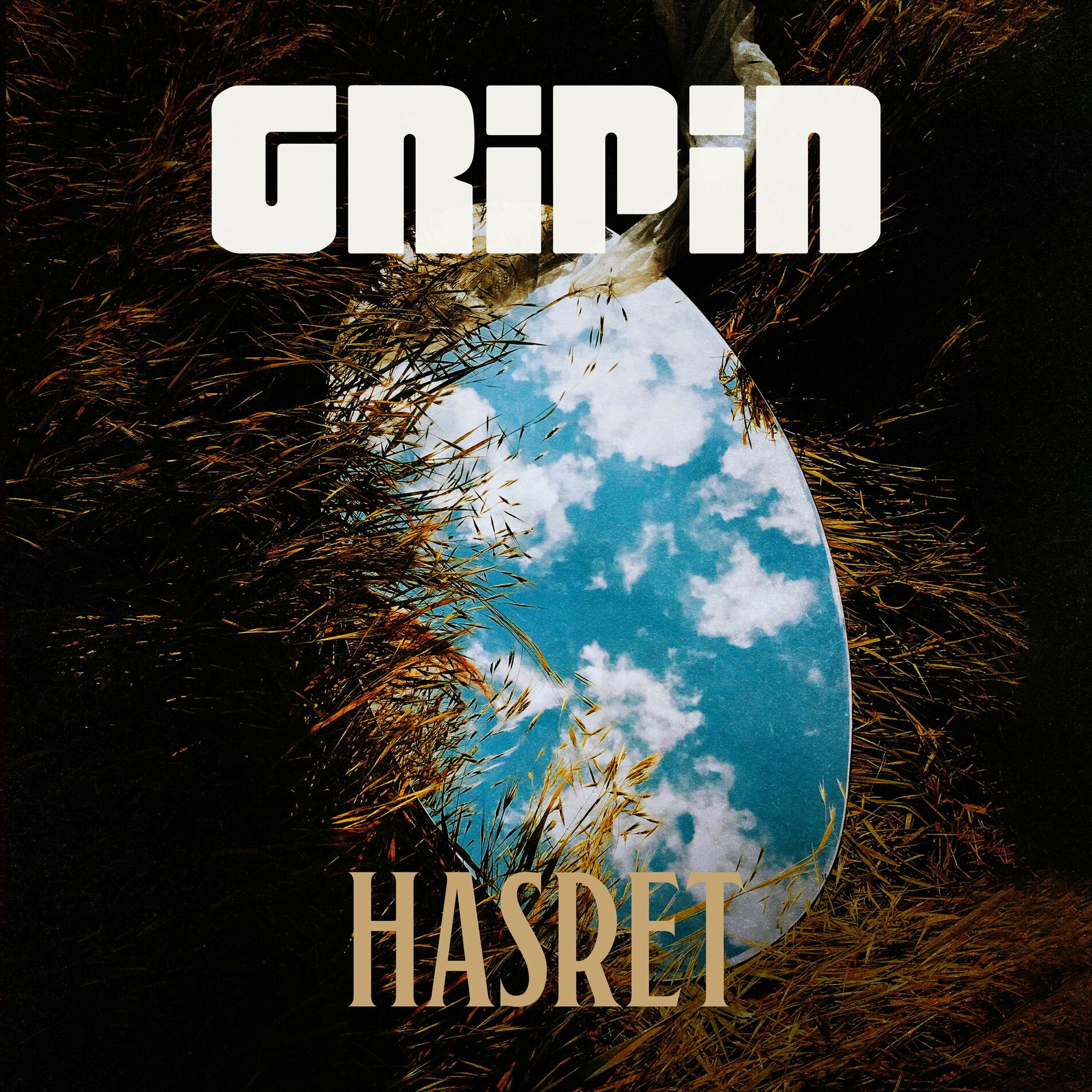 Album cover of Hasret
