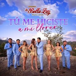 Cover of Tú Me Hiciste a Mi Llorar