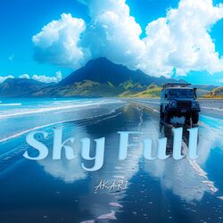 Cover of Sky full