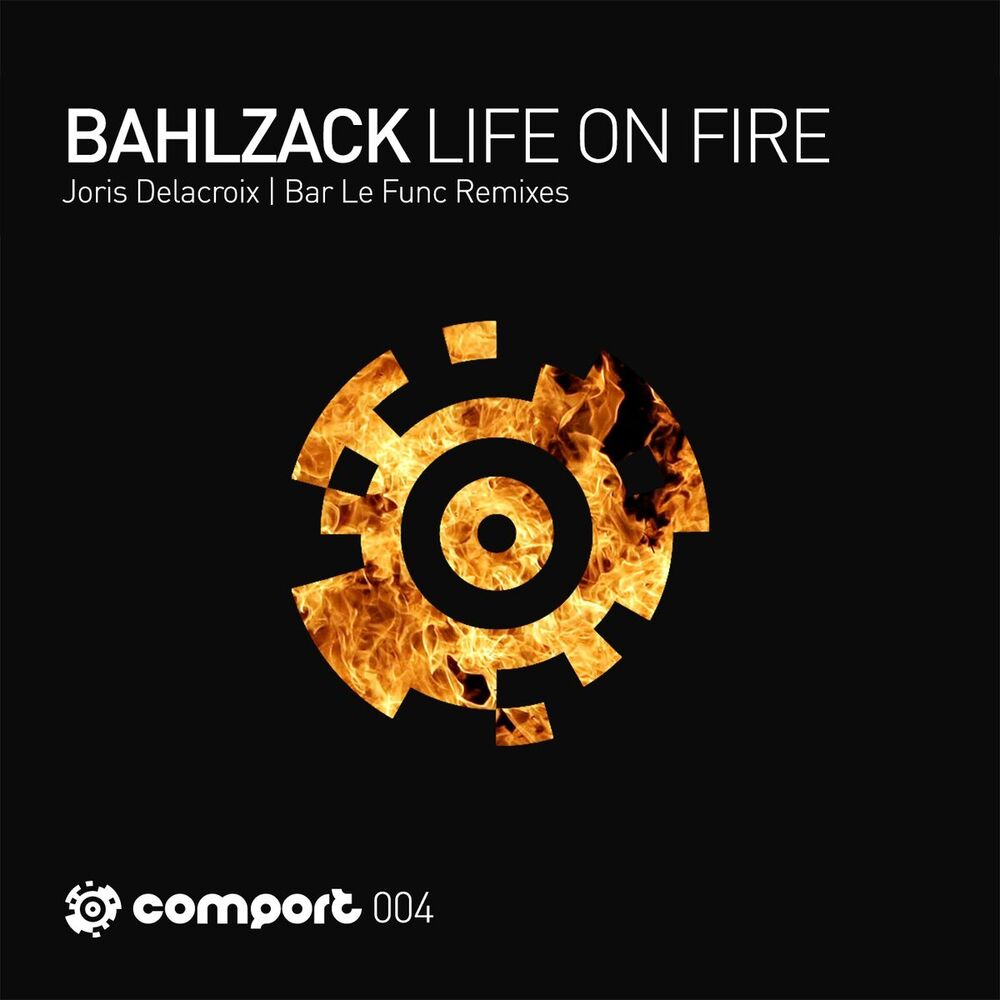 Picture of Life on Fire