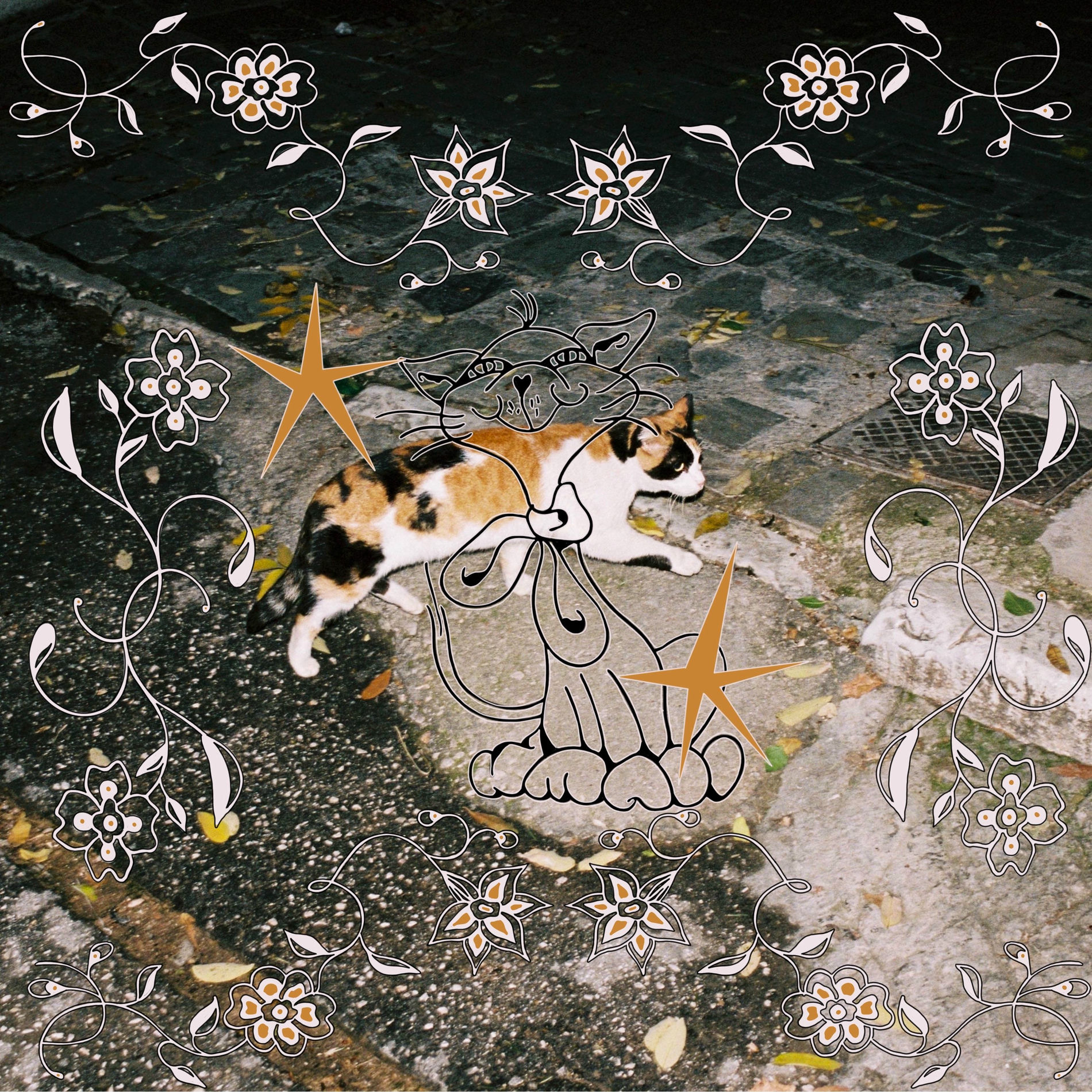 Album cover of Kater/Leben