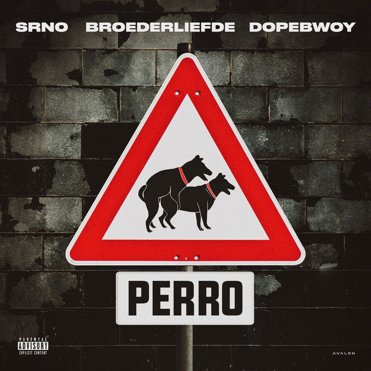 Album cover of Perro (feat. Broederliefde & Dopebwoy)