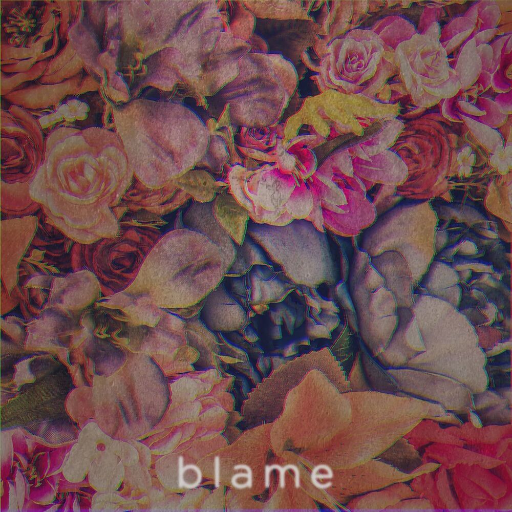 Picture of Blame