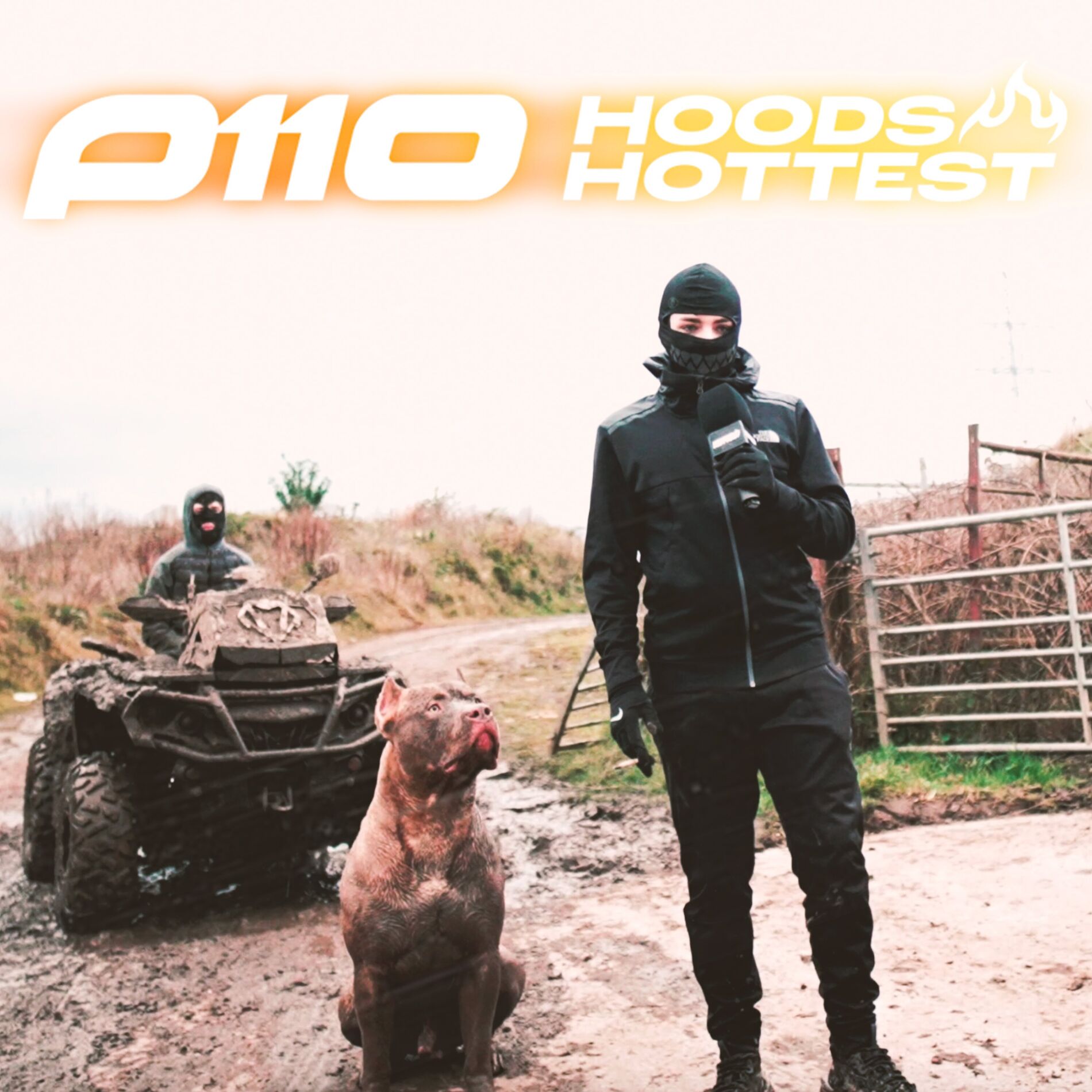 Album cover of Hoods Hottest