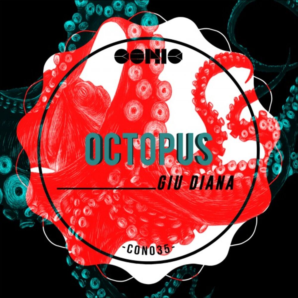 Picture of Octopus