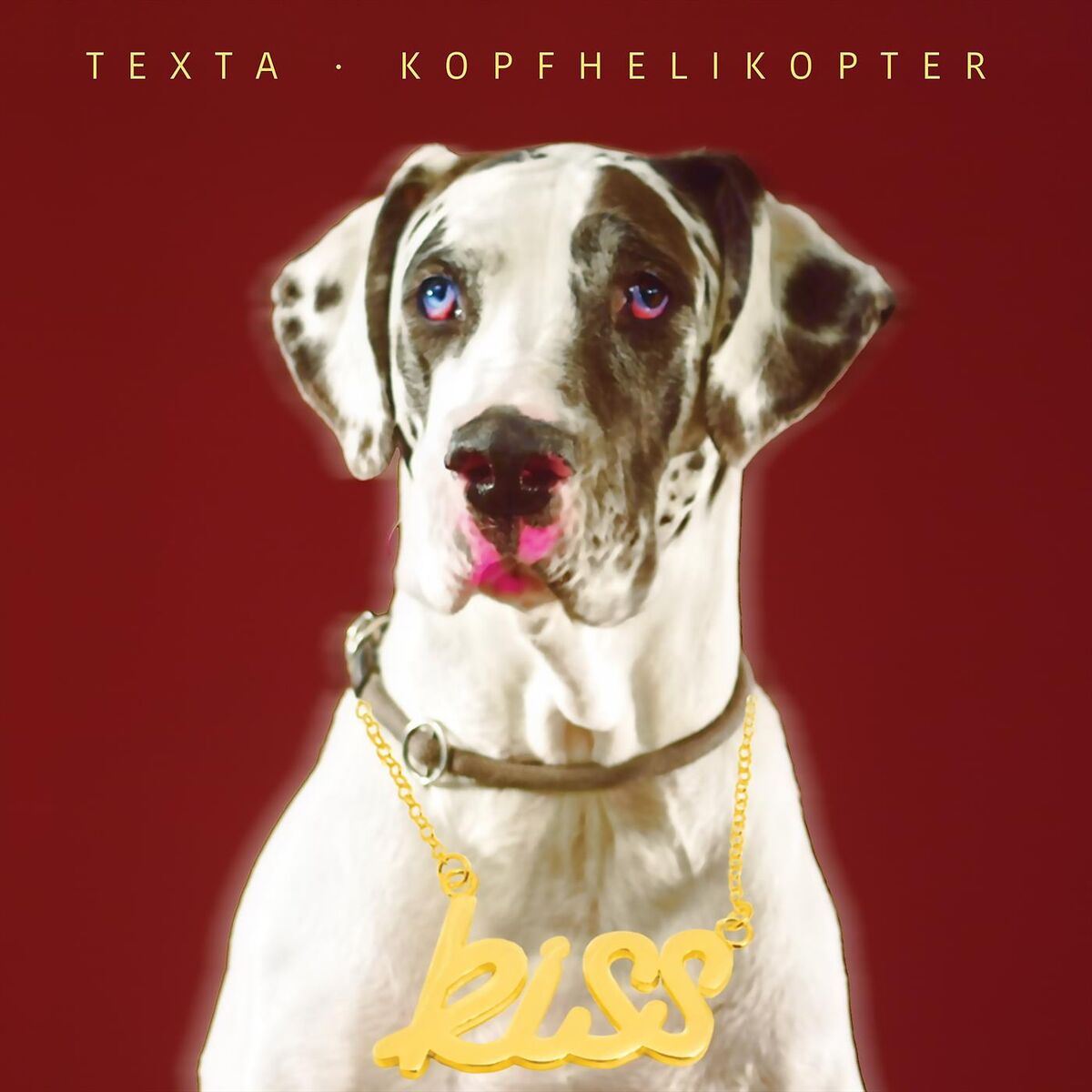 Album cover of Kopfhelikopter EP