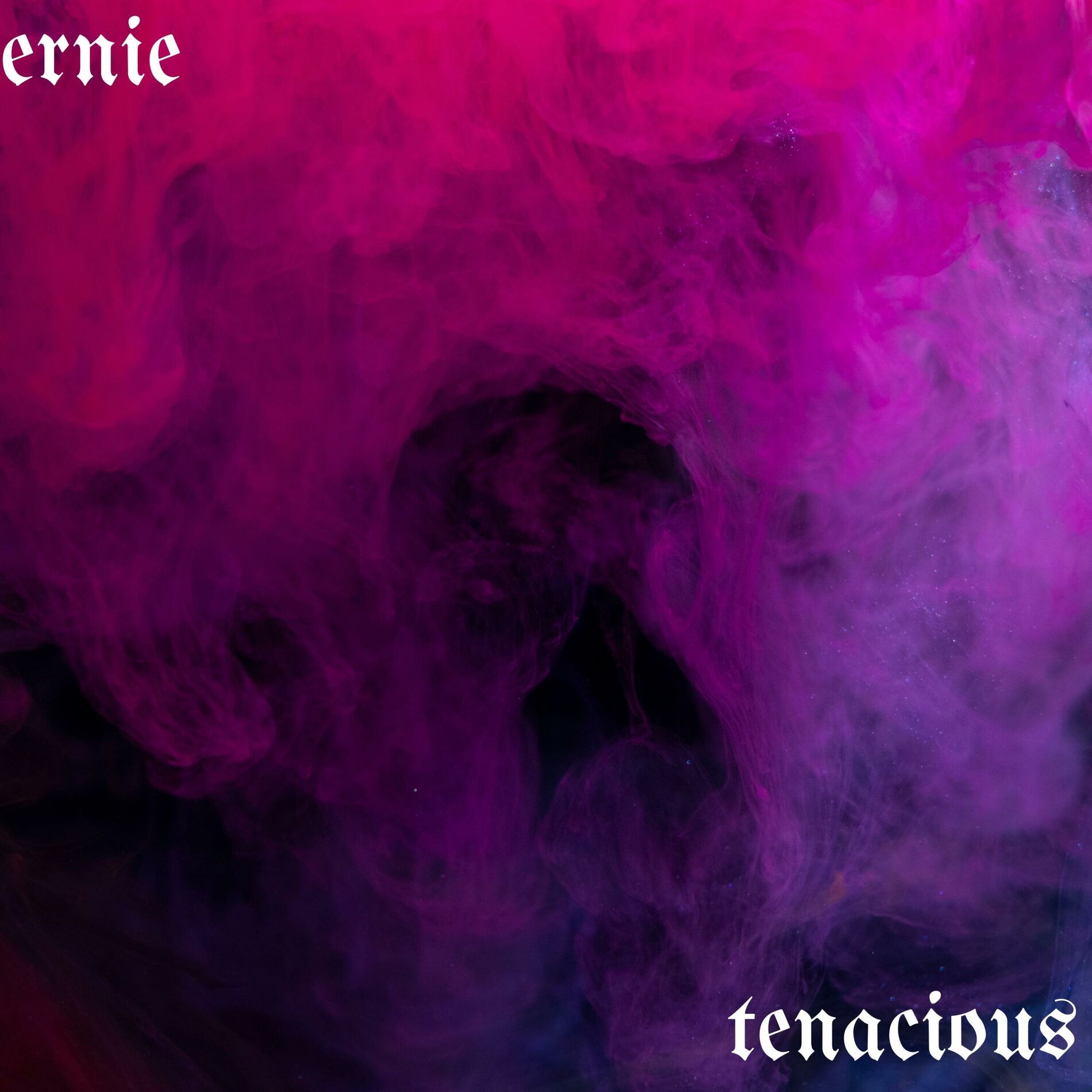 Album cover of Tenacious