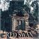 Red Swan