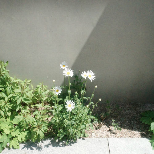 Saevom – Can I stop the time? (with Today) – Single