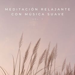 Cover of Meditación Relajante Con Música Suave Vol. 1