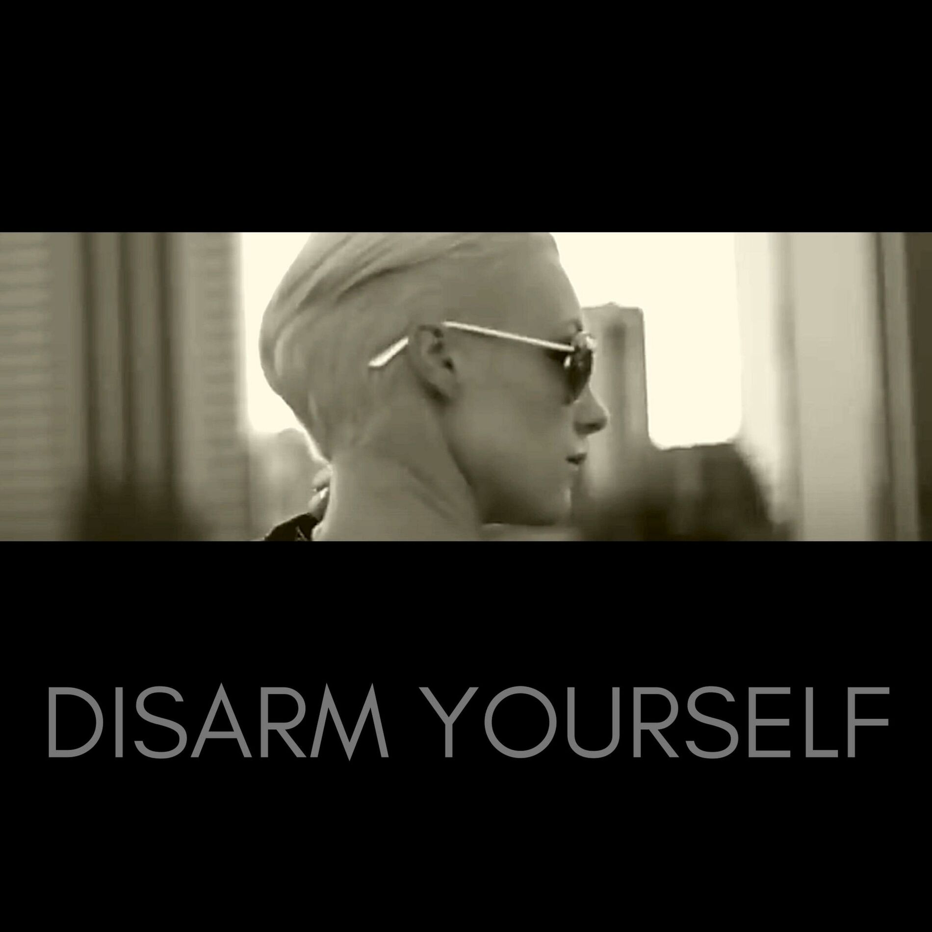 Album cover of Disarm Yourself (The Remixes)
