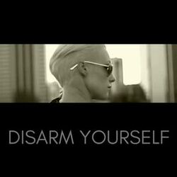 Cover of Disarm Yourself (The Remixes)