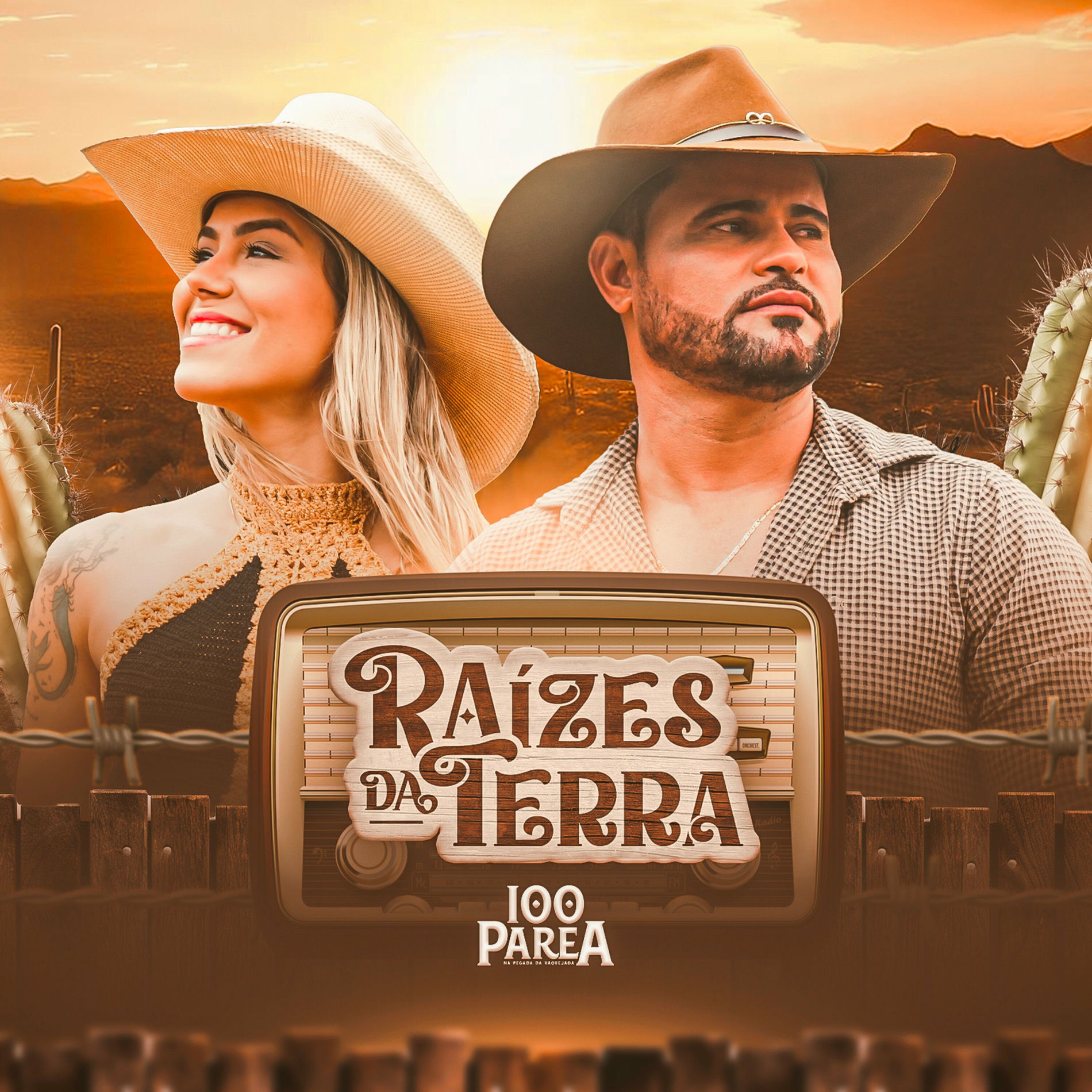 Album cover of Raizes da Terra