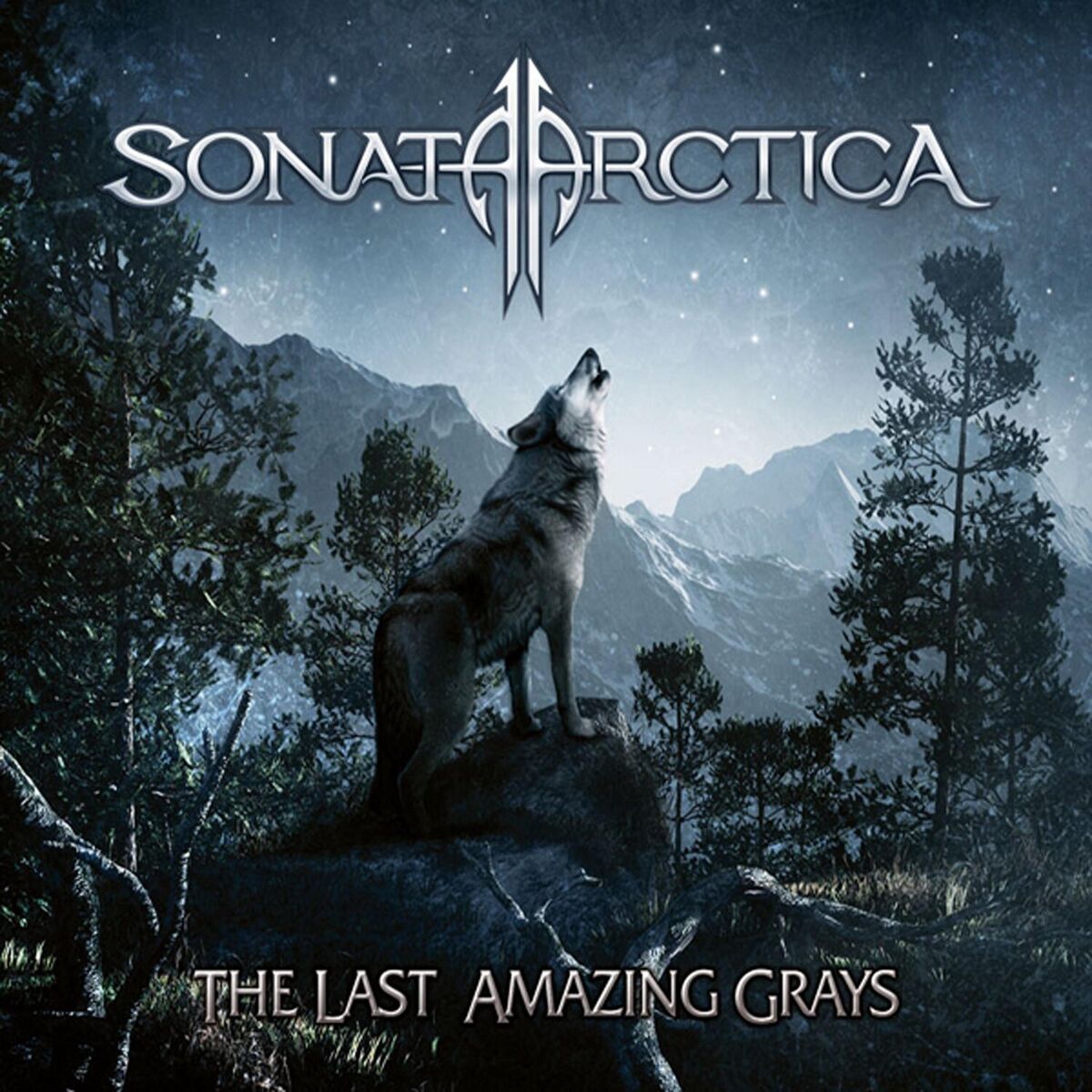 Album cover of Flag in the Ground