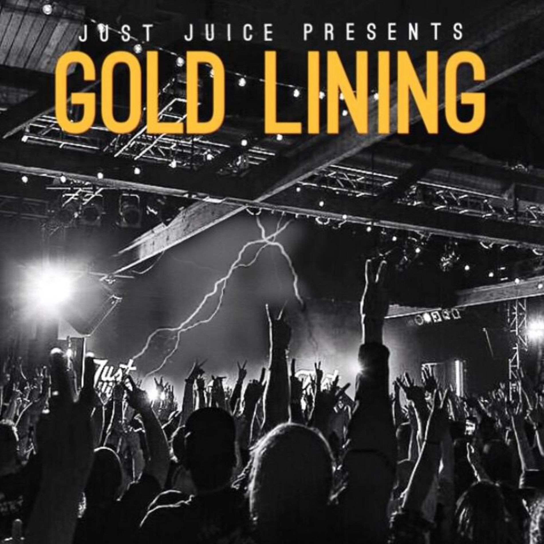 Album cover of Gold Lining