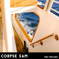 Cover of The Feeling