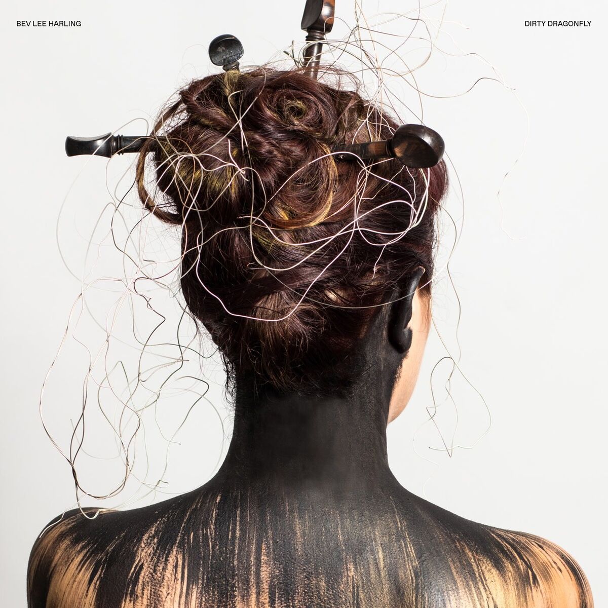 Album cover of Dirty Dragonfly
