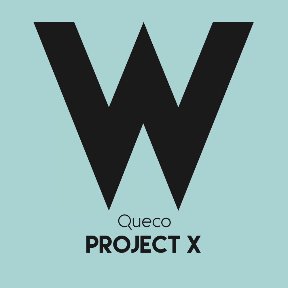 Picture of Project X