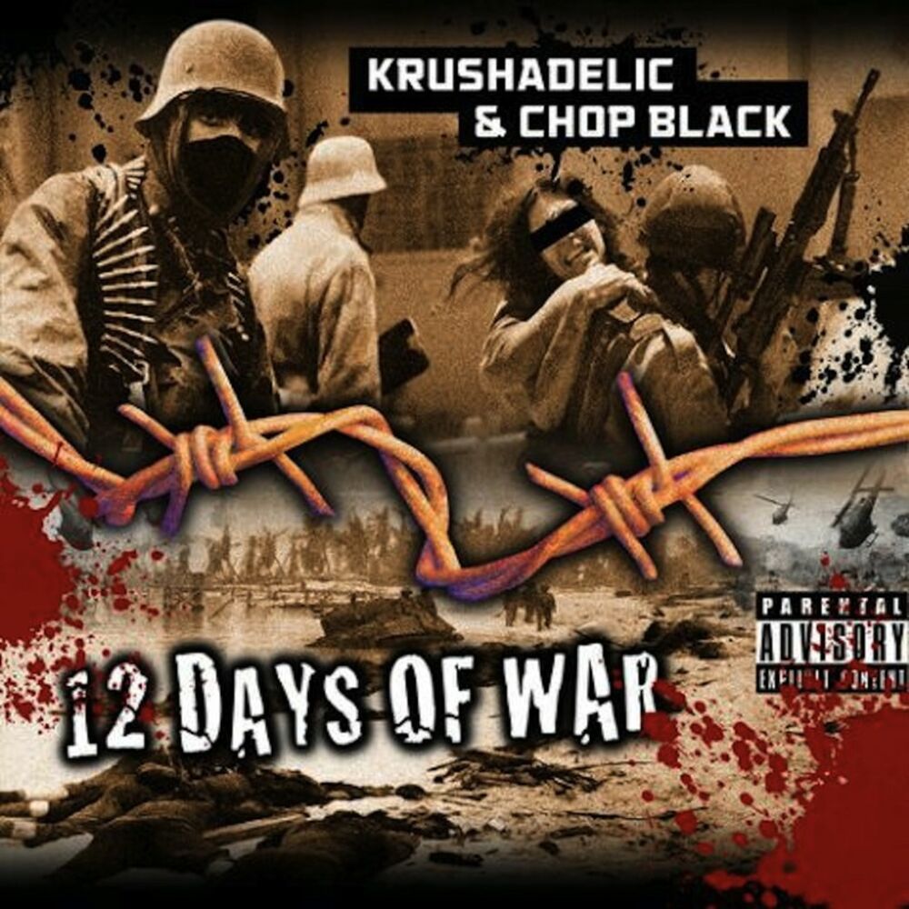 Picture of 12 Days of war