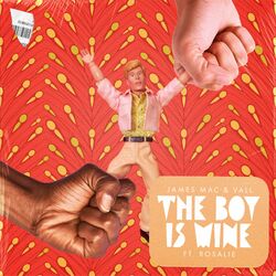 Cover of The Boy Is Mine