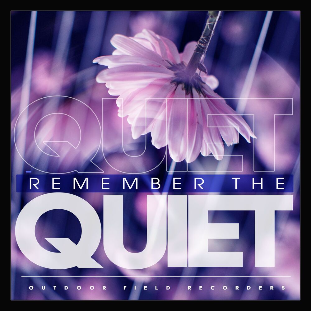 Picture of Remember the Quiet