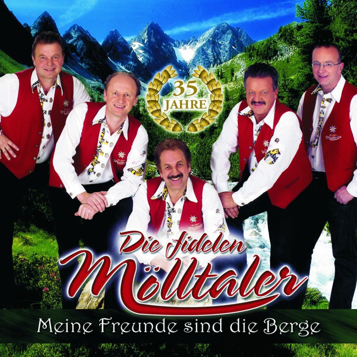 Album cover of Meine Freunde sind die Berge