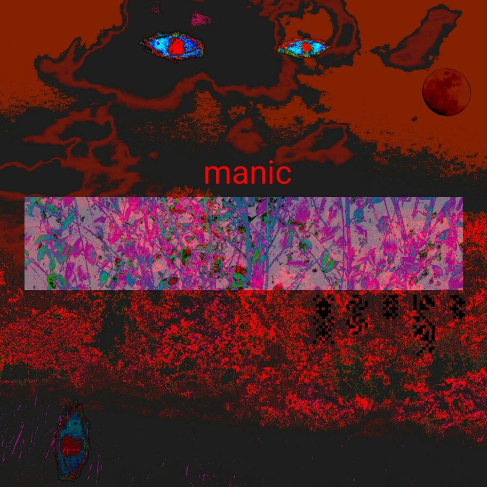 Picture of Manic