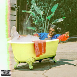 Cover of Reverend