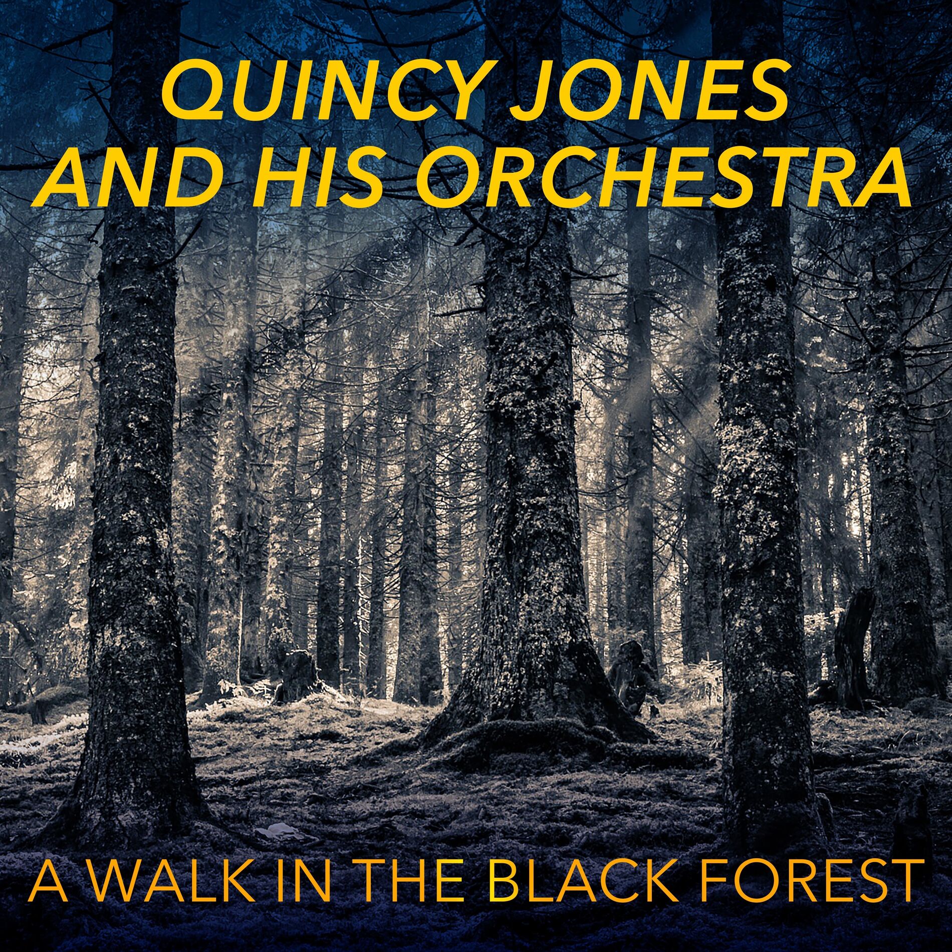 Album cover of A Walk in the Black Forest